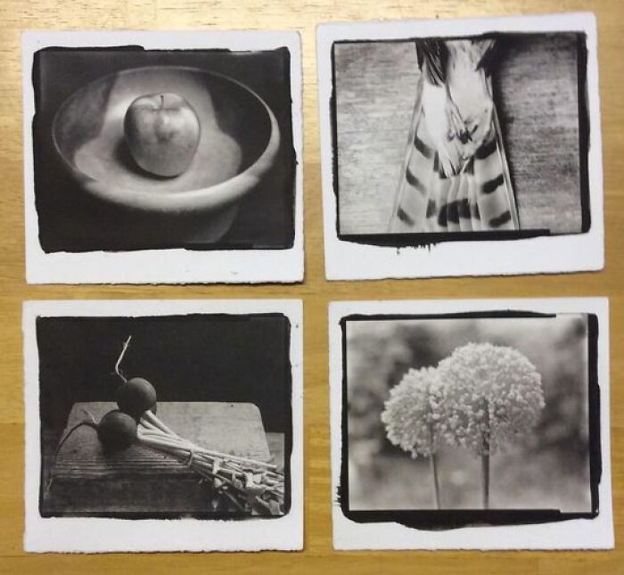 I’ve Been Going Through My 4x5 Negs Looking For Good Candidates For Pt/Pd Printing. Crown Graphic, Hp5+, Na2 Method, Hpr