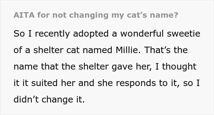 Woman Doesn't Want To Change Her Cat's Name Because Pregnant Cousin Wants To Use It For Her Baby, Wonders If She's Just Being Stubborn