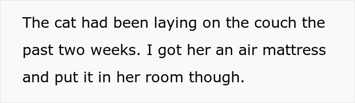 Person Gets Bashed By Cat-Allergic Ex-Roomie For Getting A Cat Before She Was Able To Gather The Rest Of Her Things Person Gets Bashed By Cat-Allergic Ex-Roomie For Getting A Cat Before She Was Able To Gather The Rest Of Her Things