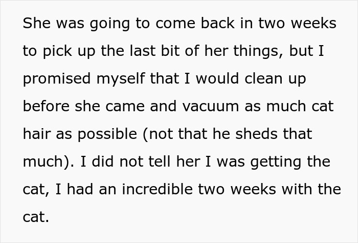 Person Gets Bashed By Cat-Allergic Ex-Roomie For Getting A Cat Before She Was Able To Gather The Rest Of Her Things