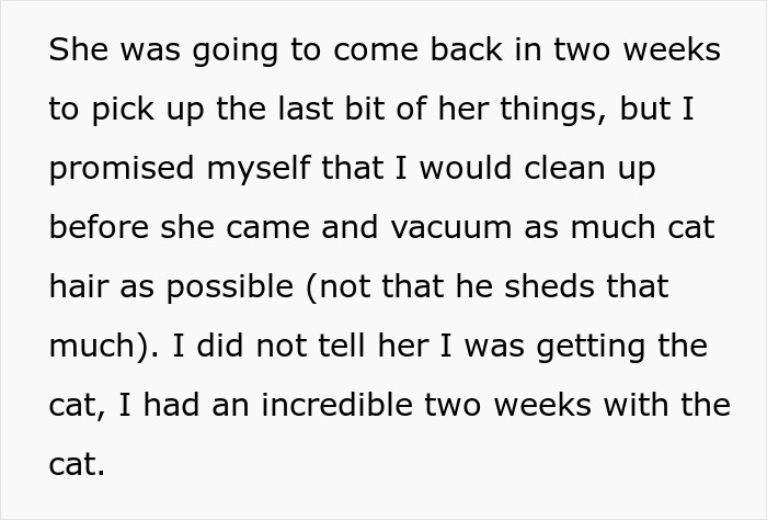 Person Gets Bashed By Cat-Allergic Ex-Roomie For Getting A Cat Before She Was Able To Gather The Rest Of Her Things Person Gets Bashed By Cat-Allergic Ex-Roomie For Getting A Cat Before She Was Able To Gather The Rest Of Her Things