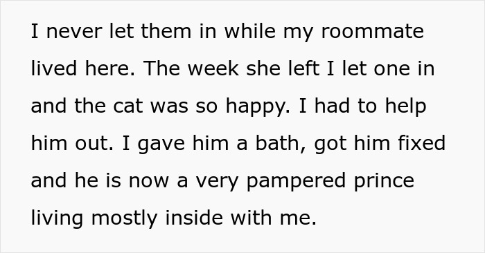Person Gets Bashed By Cat-Allergic Ex-Roomie For Getting A Cat Before She Was Able To Gather The Rest Of Her Things