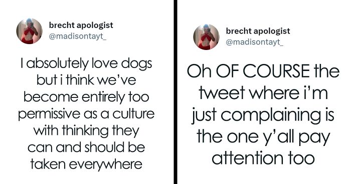 “I’m Sorry, But Unless It’s A Trained Service Dog, Your Dog Simply Does Not Need To Come With You On All Your Errands”: Woman’s Thread About Dogs Goes Viral On Twitter