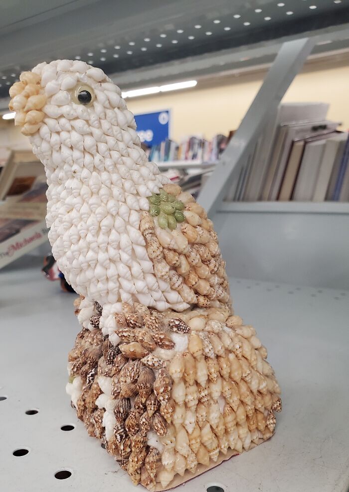 Yes, Those Are Shells. Found At A Thrift Shop