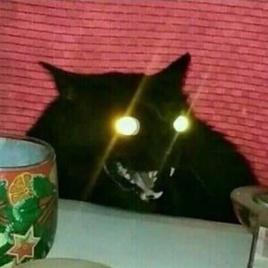 lindsaydecker_2 avatar