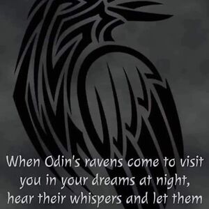 lisafreeman_1 avatar