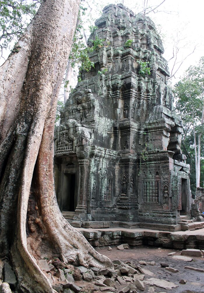 Ta Prohm In Cambodia