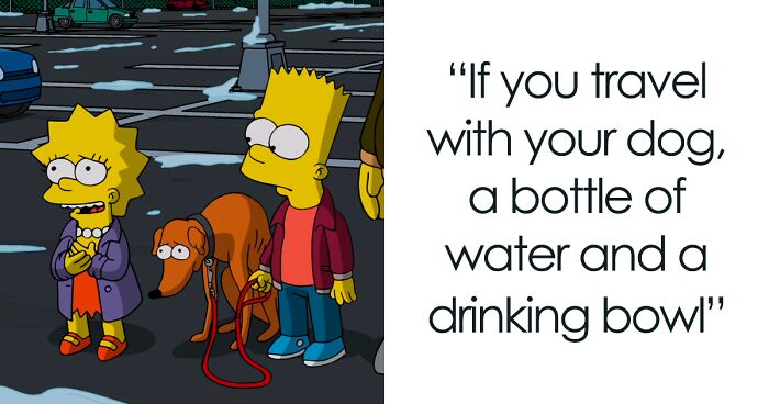 42 Underrated Car Essentials To Stay Ready On The Road