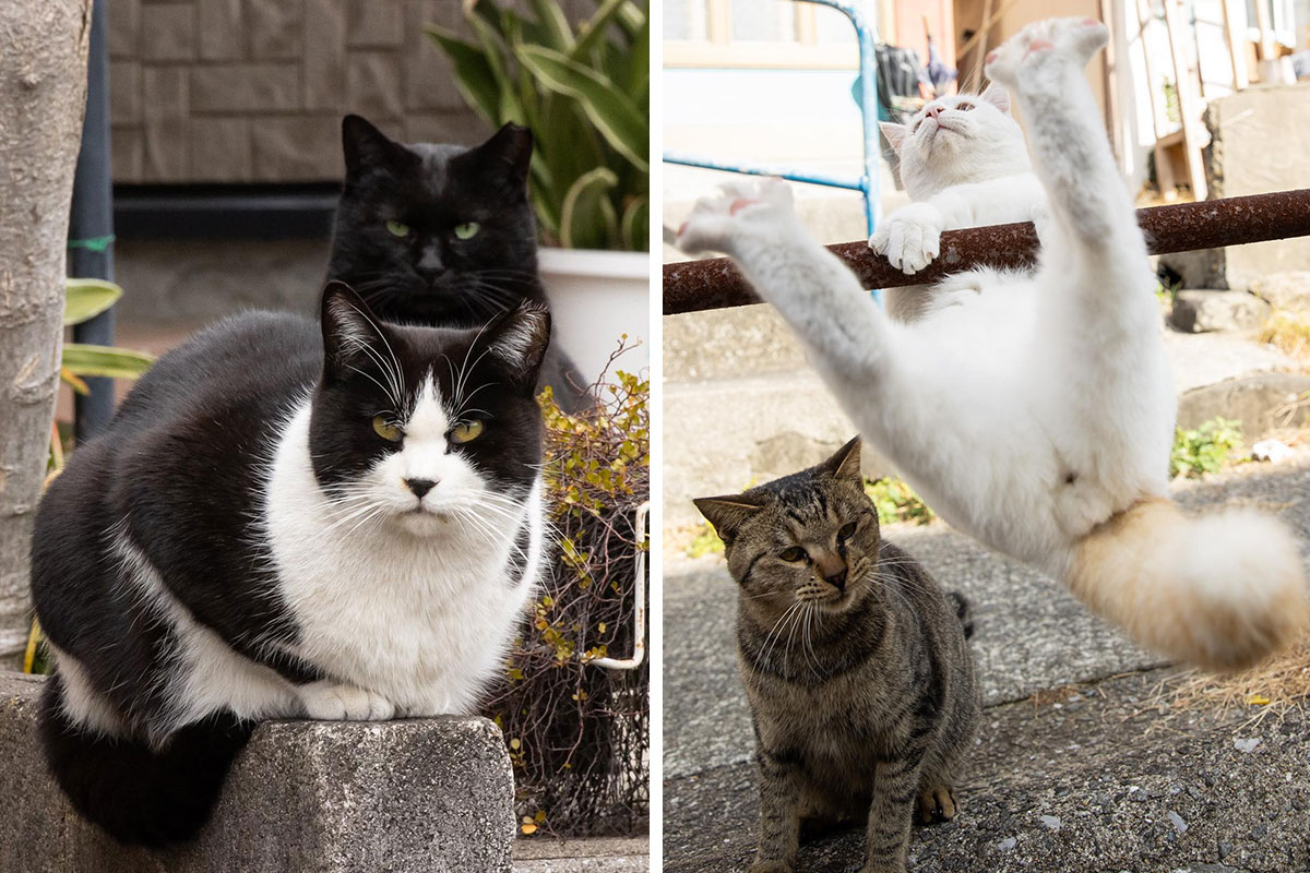 From Comical Grimaces To Surprising Poses, This Photographer Takes