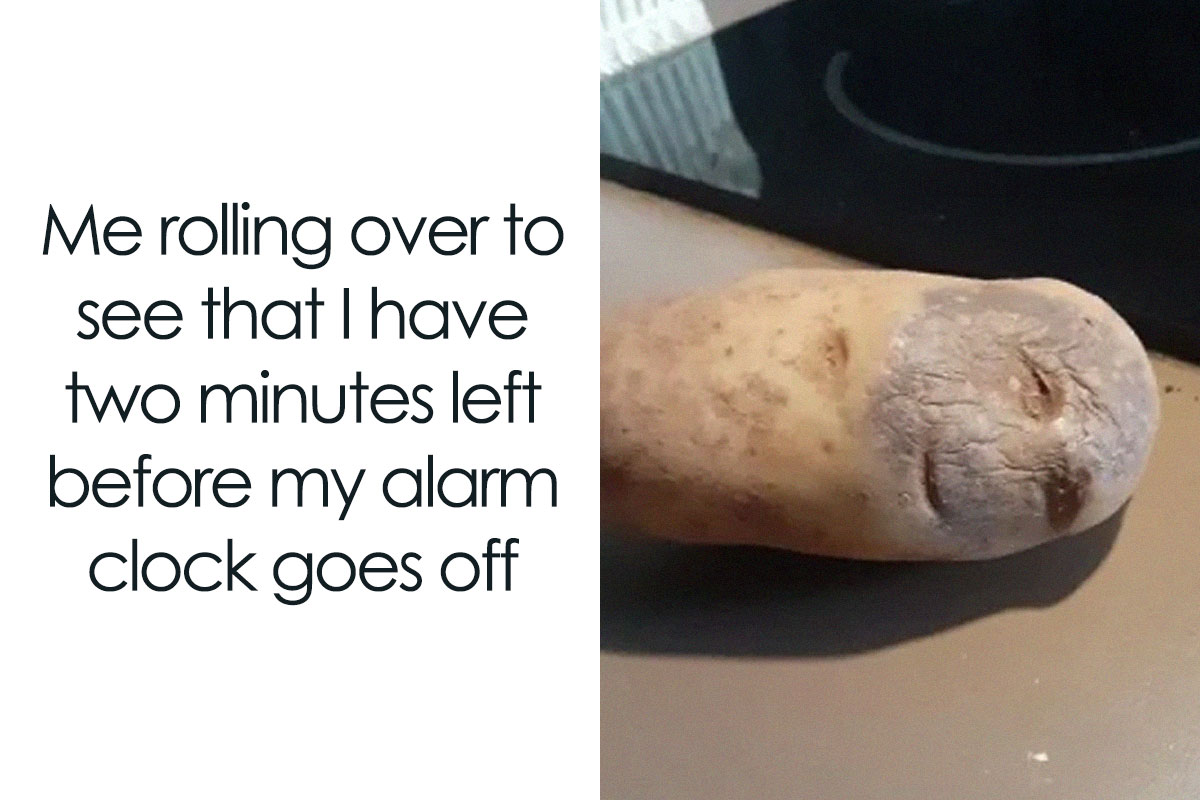 40 Hilarious Memes To Tickle Your Funny Bone | Bored Panda