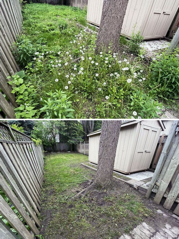 Before And After Of A Backyard I Cleaned Up Yesterday