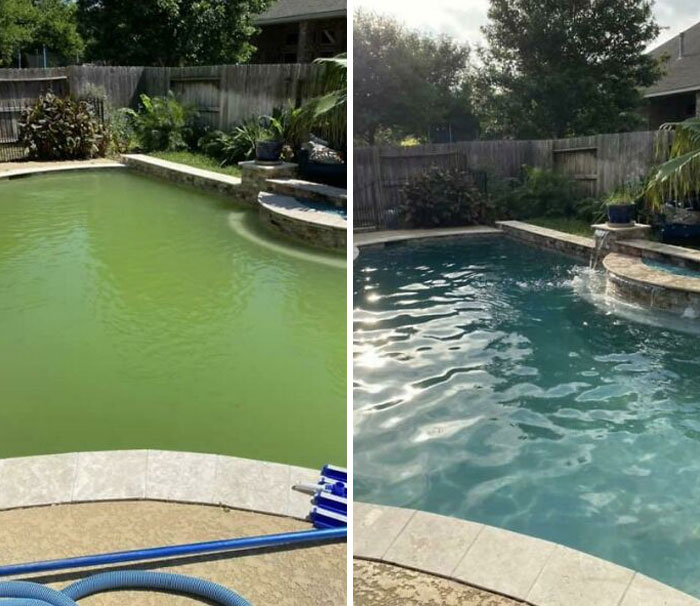 The Magic Of Quarantine, Sore Muscles From Scrubbing, A Sunburn, And A Cocktail Of Chemicals: Turning My Pool Back Into An Oasis From The Swamp Mess