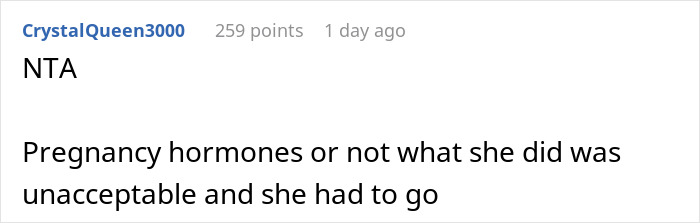 "[Am I The Jerk] For Yelling At My Brother&rsquo;s Pregnant Girlfriend And Kicking Them Both Out Of My House After She Threw Away My Food?"