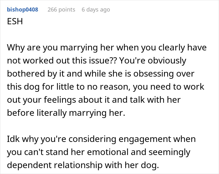 “[Am I The Jerk] For Leaving The Engagement Dinner Due To My Fiancée’s Obsession With The Dog?”