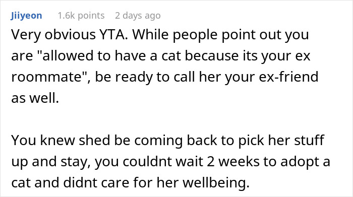Person Gets Bashed By Cat-Allergic Ex-Roomie For Getting A Cat Before She Was Able To Gather The Rest Of Her Things Person Gets Bashed By Cat-Allergic Ex-Roomie For Getting A Cat Before She Was Able To Gather The Rest Of Her Things