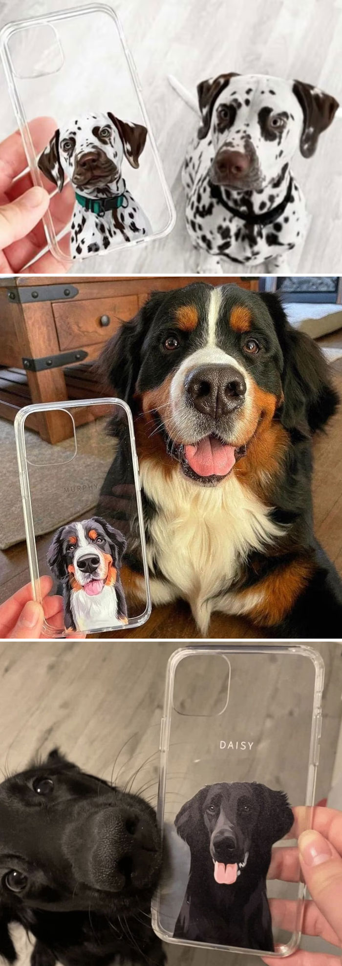 Custom Pet Portrait Case