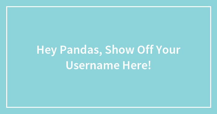 Hey Pandas, Show Off Your Username Here! (Closed)