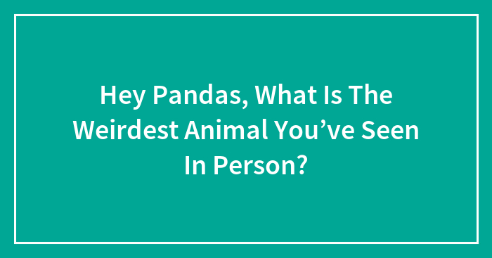 Hey Pandas, What Is The Weirdest Animal You’ve Seen In Person?