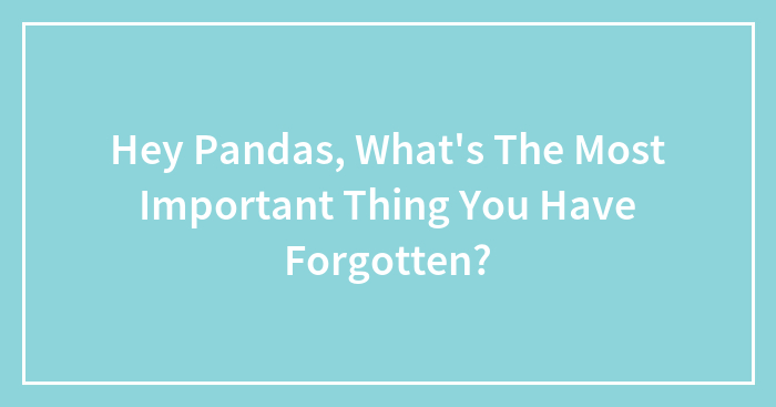 Hey Pandas, What’s The Most Important Thing You Have Forgotten?
