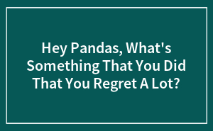 Hey Pandas, What's Something That You Did That You Regret A Lot?