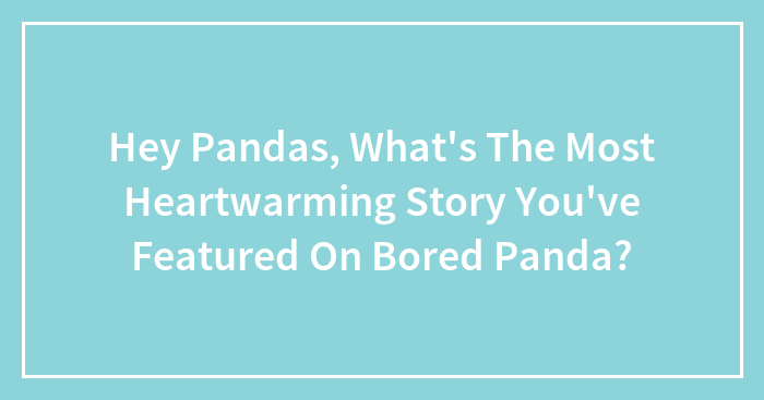 Hey Pandas, What’s The Most Heartwarming Story You’ve Featured On Bored Panda?