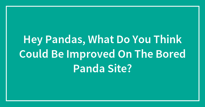 Hey Pandas, What Do You Think Could Be Improved On The Bored Panda Site?