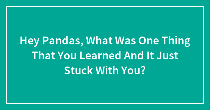 Hey Pandas, What Was One Thing That You Learned And It Just Stuck With You? (Closed)