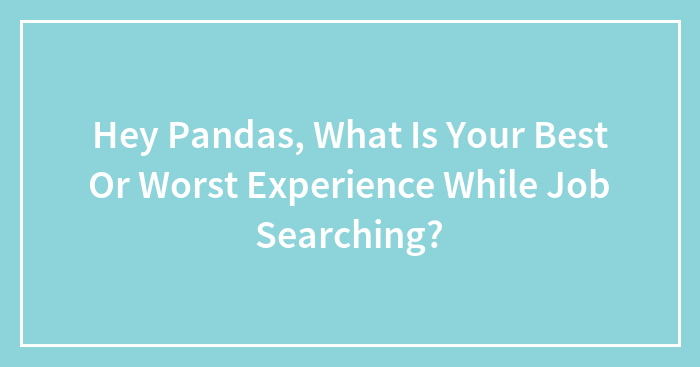 Hey Pandas, What Is Your Best Or Worst Experience While Job Searching? (Closed)