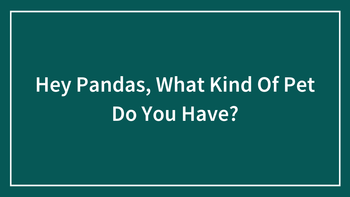 Hey Pandas, What Kind Of Pet Do You Have? (Closed)