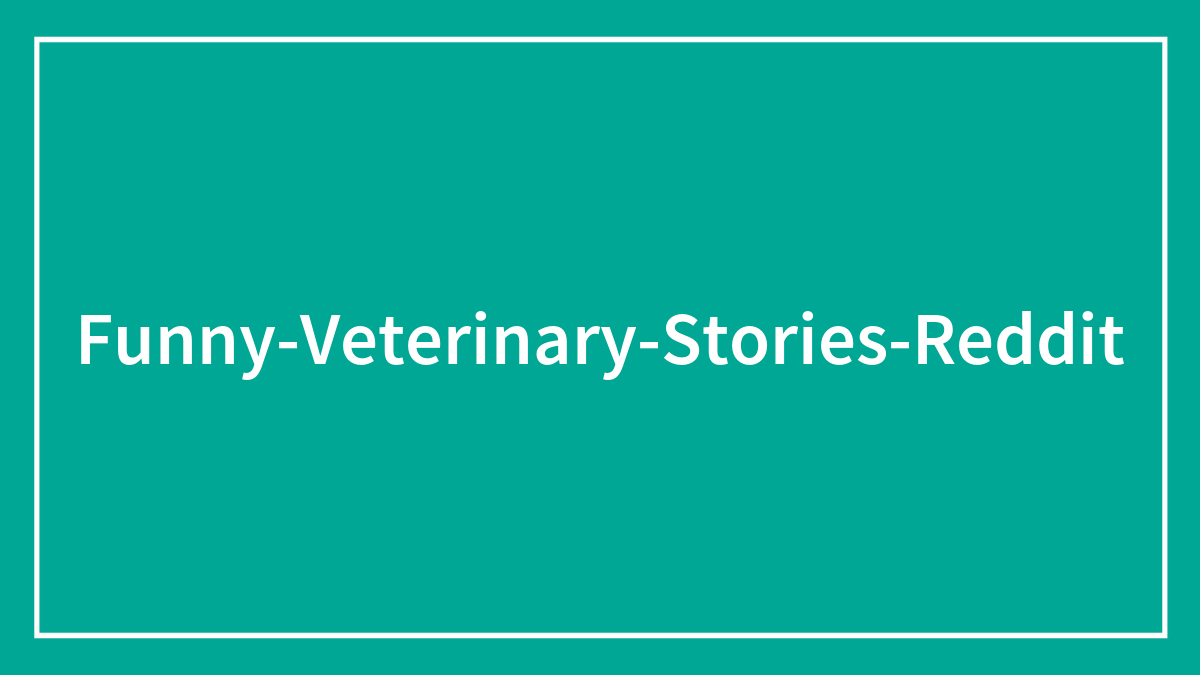 30 Hilarious Stories From Vets About Pets And Their Sometimes Clueless Owners
