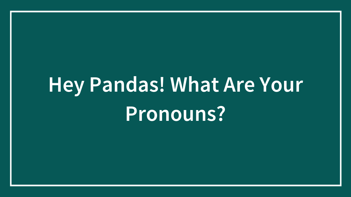 Hey Pandas! What Are Your Pronouns?