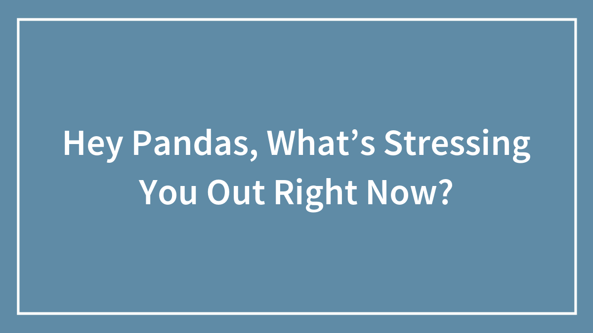 Hey Pandas, What’s Stressing You Out Right Now? (Closed)
