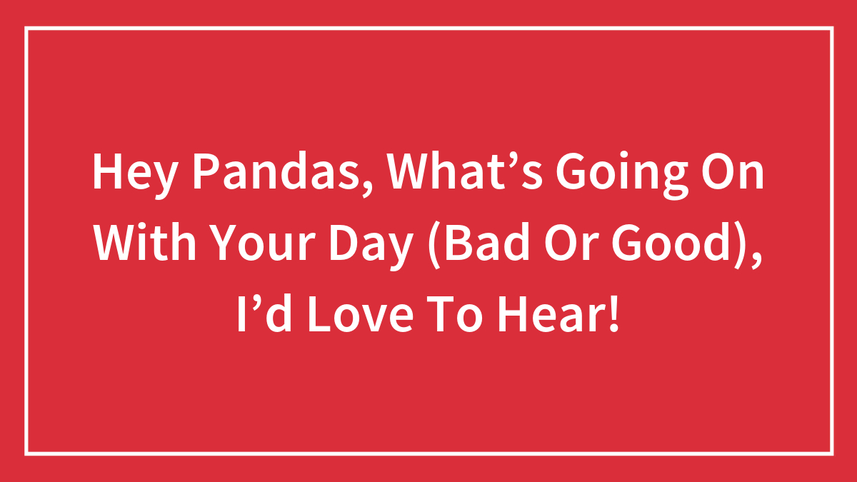 Hey Pandas, What’s Going On With Your Day (Bad Or Good), I’d Love To Hear!