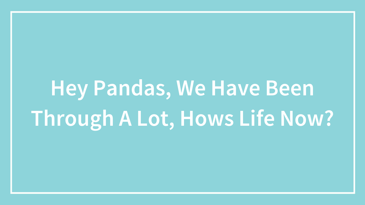 Hey Pandas, We Have Been Through A Lot, Hows Life Now?