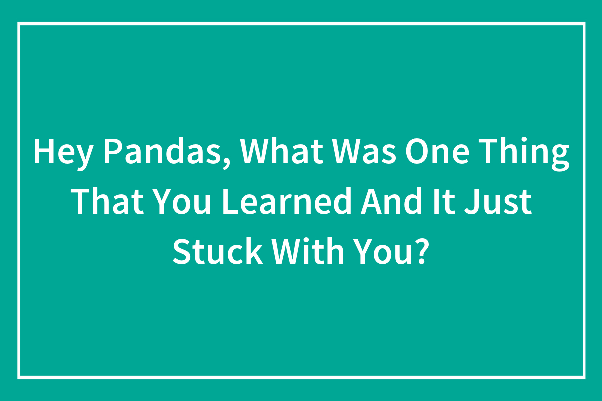 Hey Pandas, What Was One Thing That You Learned And It Just Stuck With ...