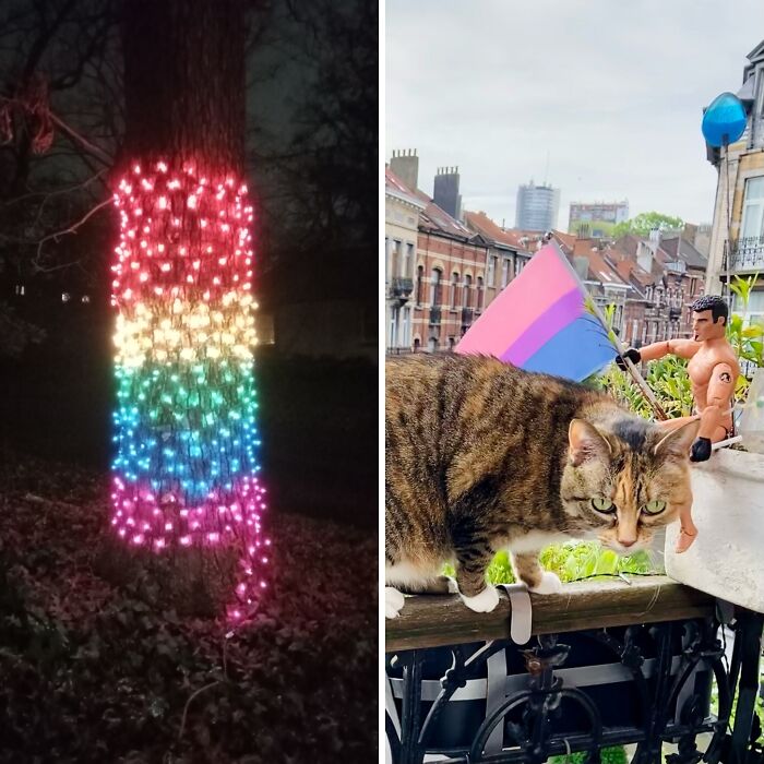 Hey Pandas, Show Us A Pride Flag In Your Home (Closed)