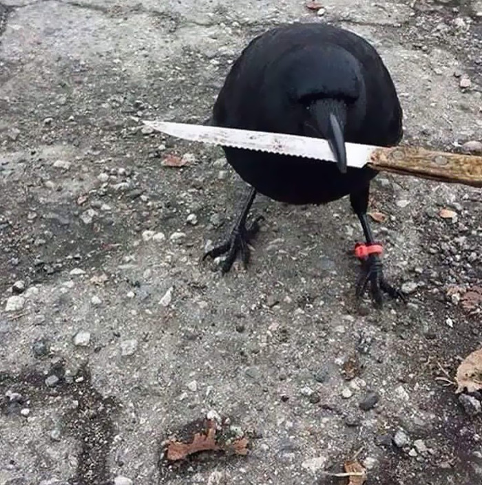 This IG Page Is Sharing Cursed Memes And Here Are 56 Of The Best 