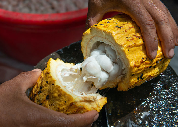 “Enjoy Your Next Cheap Pepperoni Pizza”: 30 Disturbing Facts About The Food Industry That May Leave A Poor Taste In Your Mouth