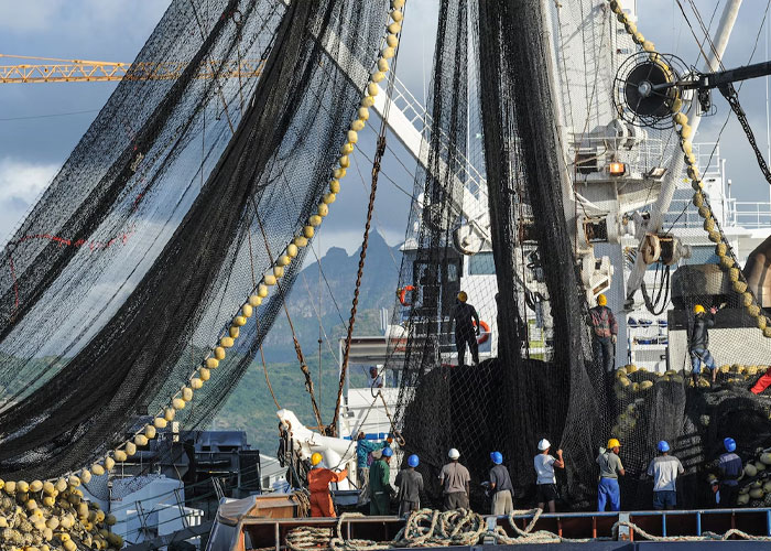 “Enjoy Your Next Cheap Pepperoni Pizza”: 30 Disturbing Facts About The Food Industry That May Leave A Poor Taste In Your Mouth