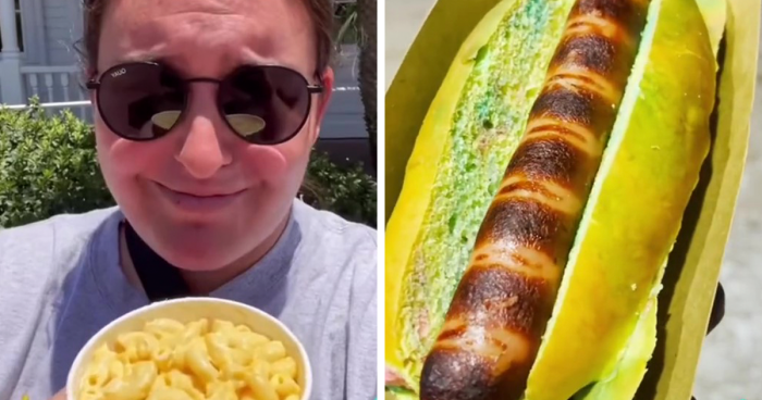 Person Roasts Disneyland Food Fails And Here Are 17 Of Them