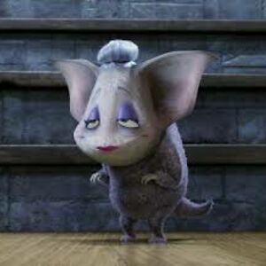 muneemkakakhel avatar