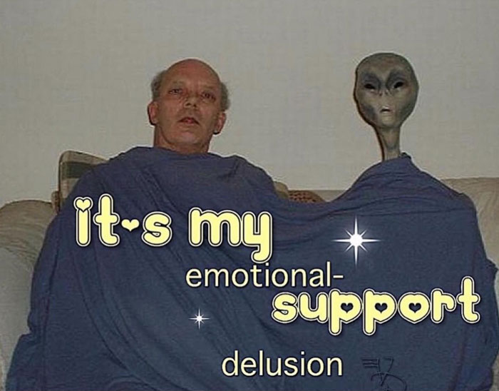 it's my emotional support delusion meme