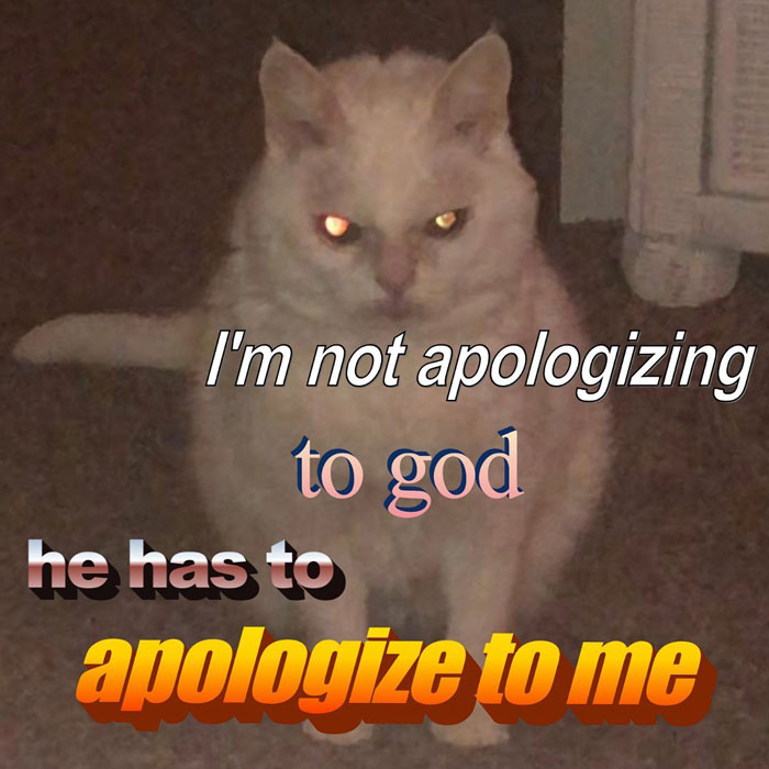 i'm not apologizing to god grumpy cat meme