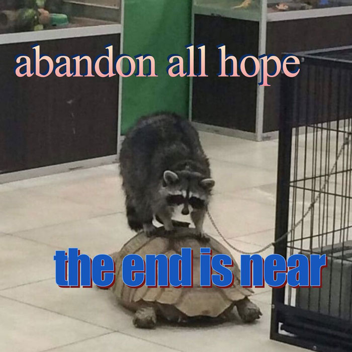 abandon all home the end is near racoon and a turtle meme