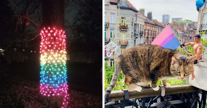 Hey Pandas, Show Us A Pride Flag In Your Home (Closed)