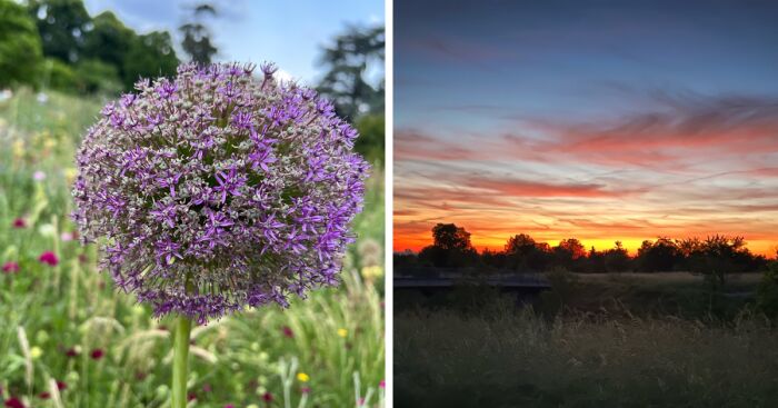 The Beauty Of Nature: 7 Photographs I Took