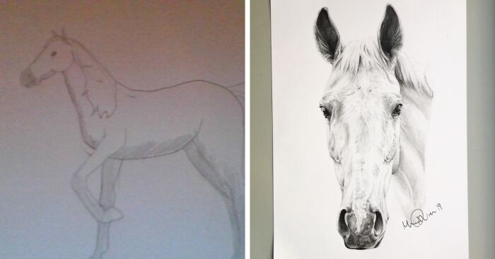 Hey Pandas, Draw A Horse And Post The Result (Closed)