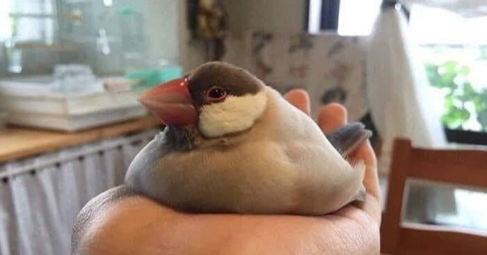 32 Memes I Found In The Dumpster And Your Mom’s Basement