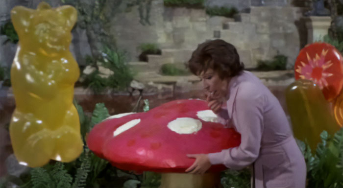 The Mushroom Polka-Dots (Charlie And The Chocolate Factory)