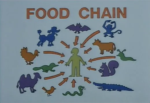 food-chain-6494bb6bb961f.jpg